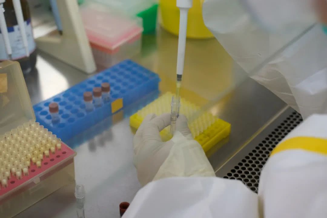 核酸檢測又降價！多地增設24小時檢測服務機構